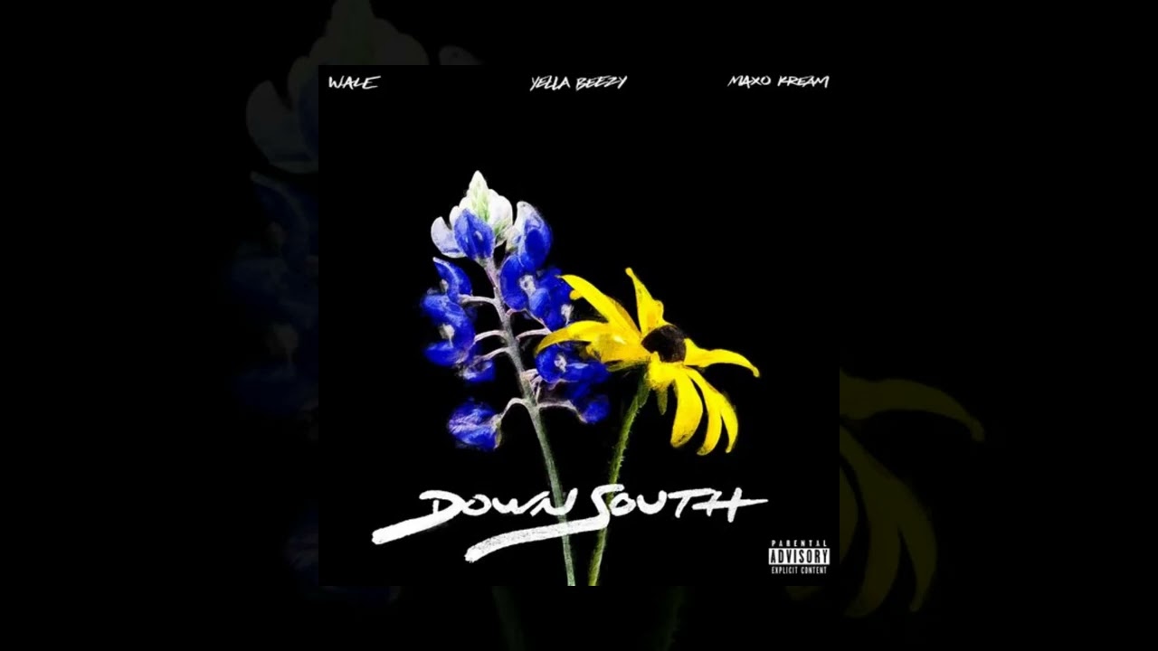 Wale - Down South [Custom Instrumental]