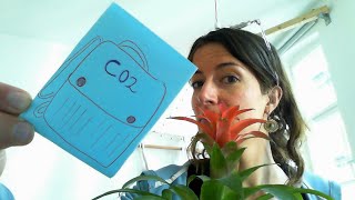 Für die 5c - Wieviel CO2 produziert ein Auto