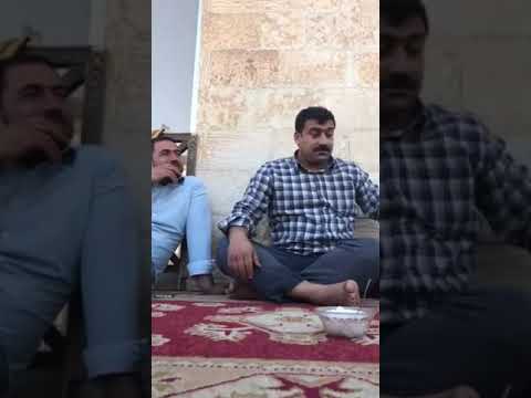 Komik arap afrin e gönüllü savaşa gitmek istiyor:))))