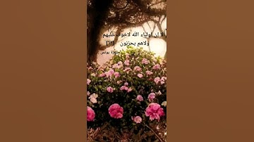سورة يونس اية (٦٢)