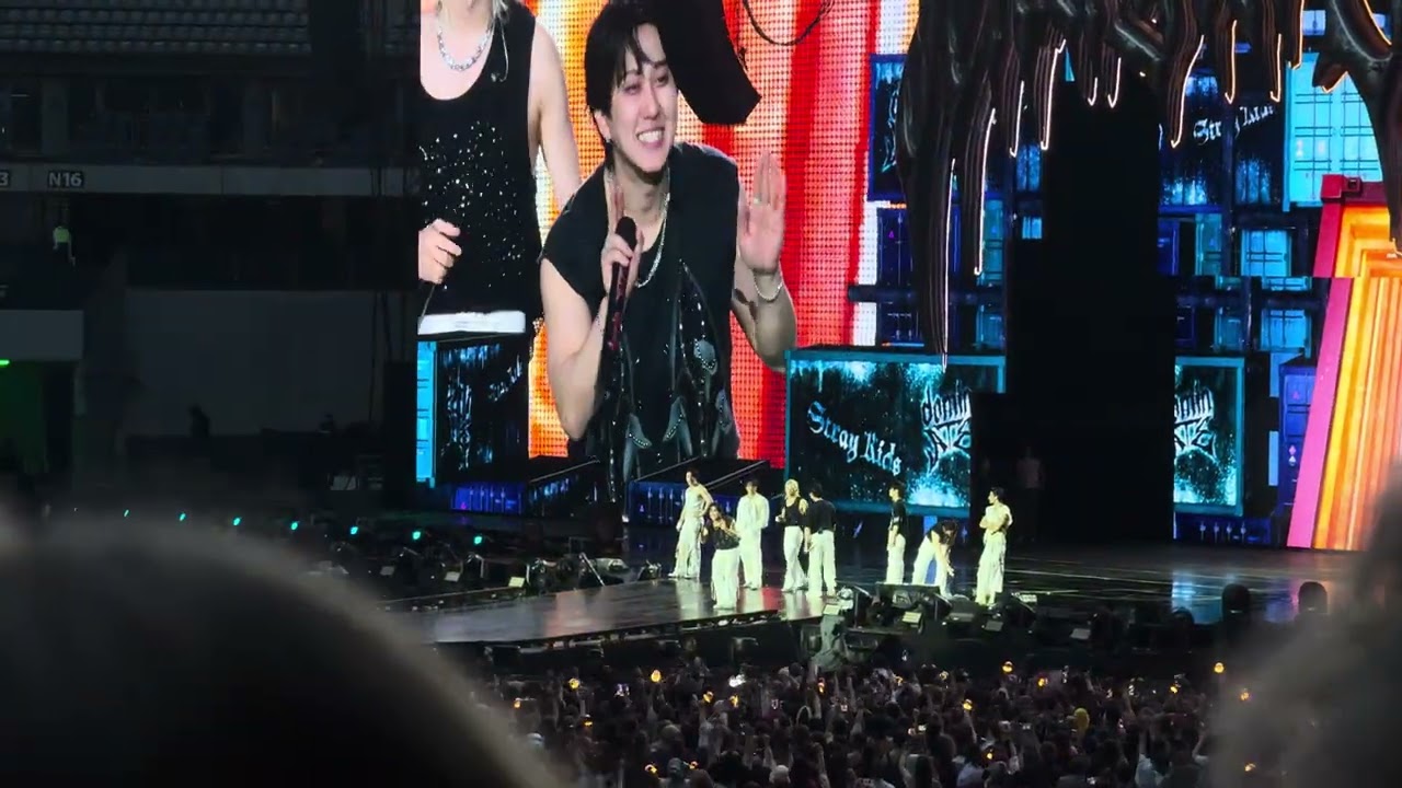 STRAY KIDS PARIS DAY 2 - MENT 3