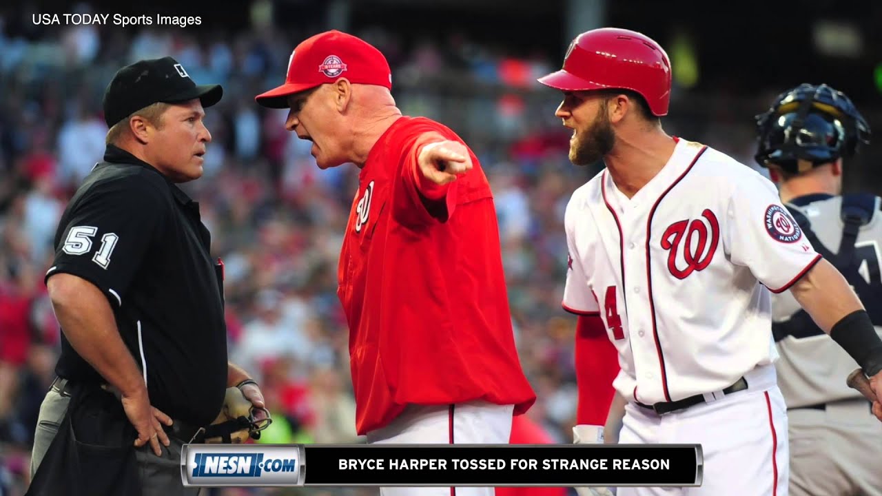 Bryce Harper Thrown Out Of Game For No Apparent Reason YouTube