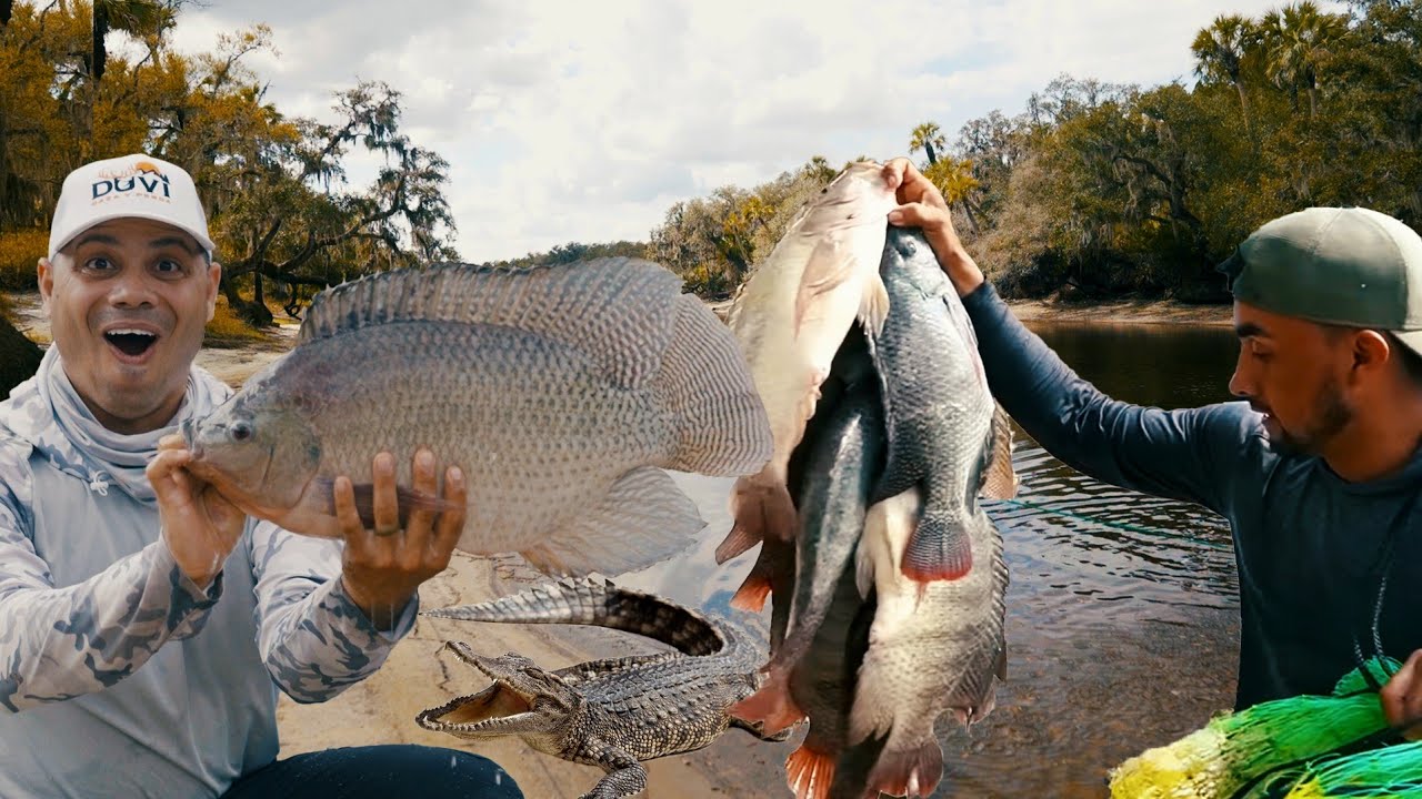 Pescando Mega Tilapias entre Lagartos | Pesca y Cocina