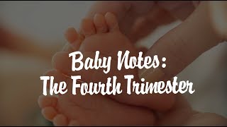 Baby Notes: The Fourth Trimester