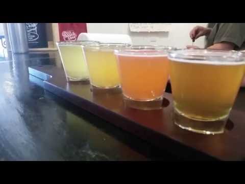 OC's Best Kombucha