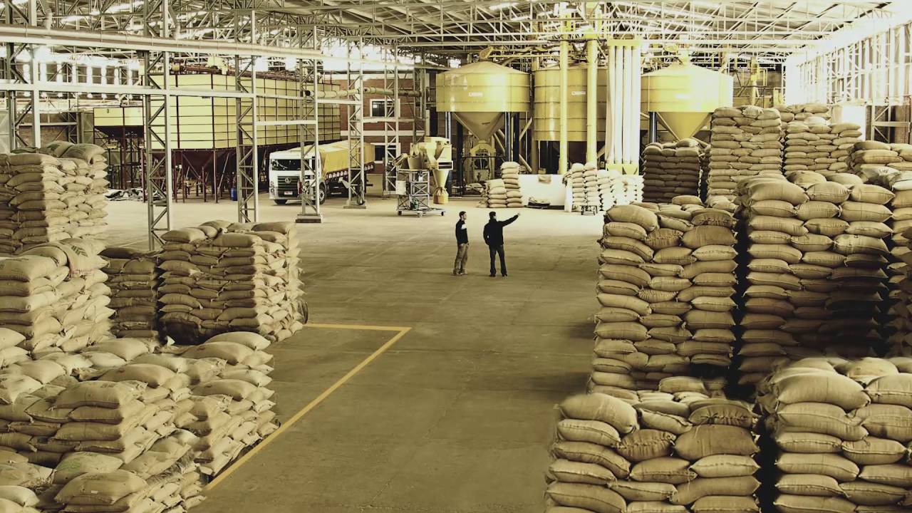 Cafeeira Masson - História