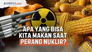 Download Lagu Jika Perang Nuklir Terjadi, Bagaimana Pangan Diproduksi? MP3
