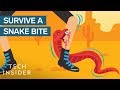 How To Survive A Snake Bite