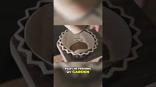Coffee Grounds  Turn Trash into Garden Gold!