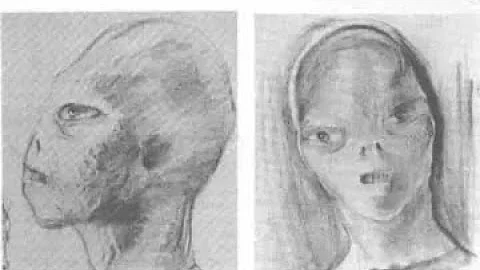 Aliens & UFOs:  "Very strange encounter on Mt. Sha...