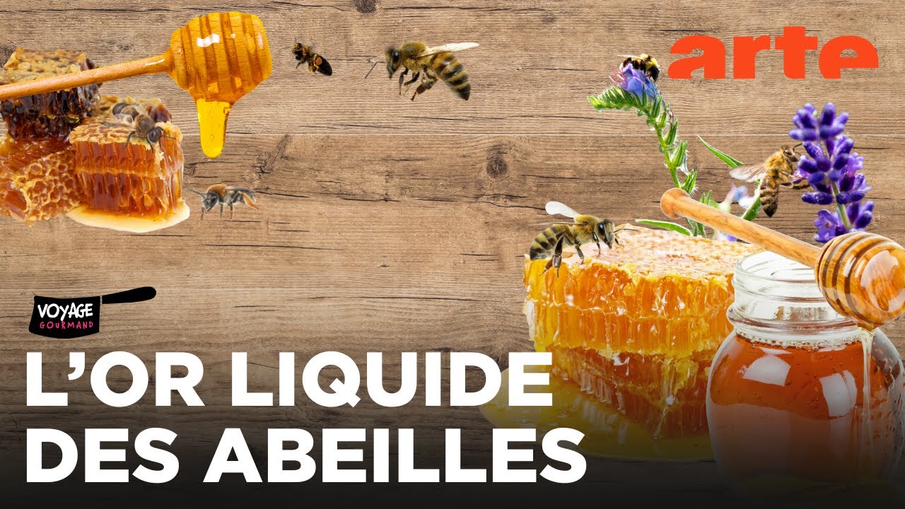 Tout sur le miel | Voyage gourmand | ARTE Family