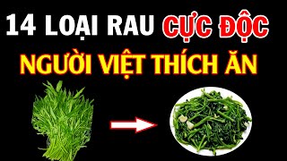 Ending Up in a Vegetative State Just from Accidentally Eating These 14 Highly Toxic Vegetables screenshot 3