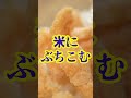 【悪魔の無限おにぎり】じゅわっと染みたつゆと濃厚なエビの味がたまらない…🤤しみしみとさくさくのバランスが絶妙ですわぁ