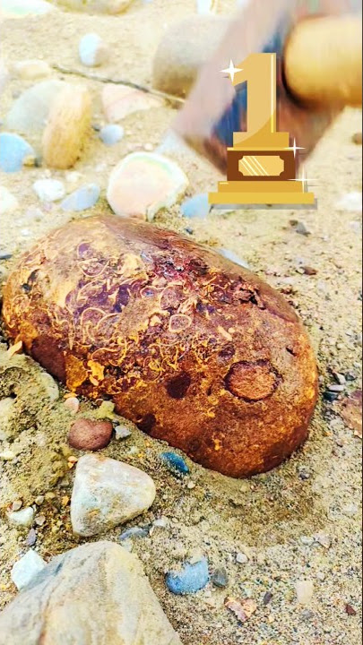 amazing gold rockhounding treasure agate hunting and identify #agates