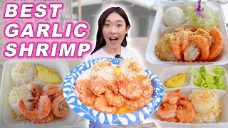 Finding THE BEST GARLIC SHRIMP in Hawaii Food Tour || Butter Garlic, Hot & Spicy, Scampi & more