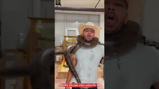 Python Snake - How many teeth does this snake have?😲 #python #snake #wildlife #shortsfeed