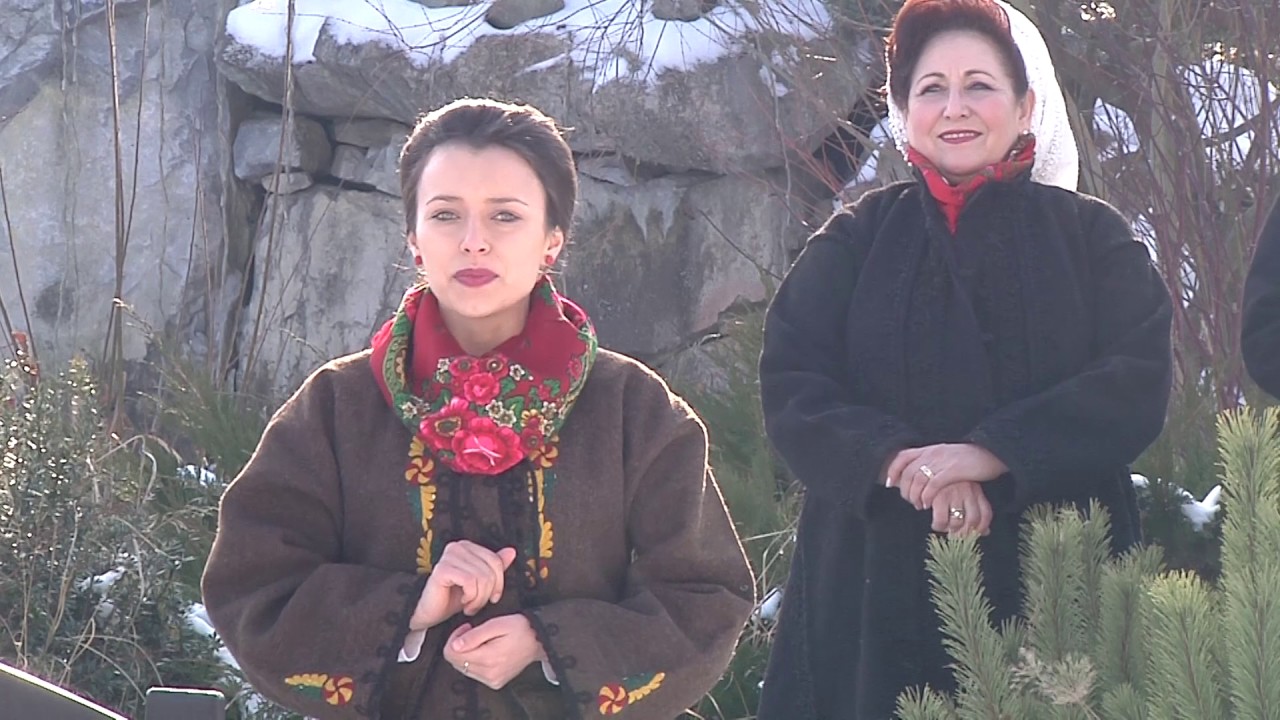 Mihaela Solomon  - "Are tata patru fete"