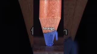 Human facts that will blow your mind #curious #facts #viral #curiousfacts #satisfying  #shocking