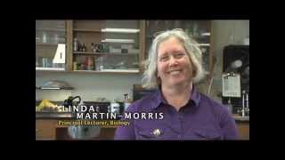 Leading change in public higher education