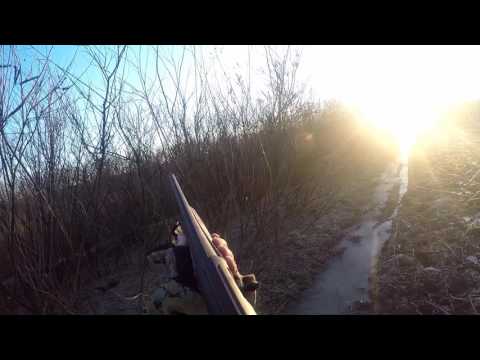 იხვზე ნადირობა აბაშაში.