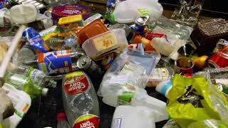 Recycling in Action