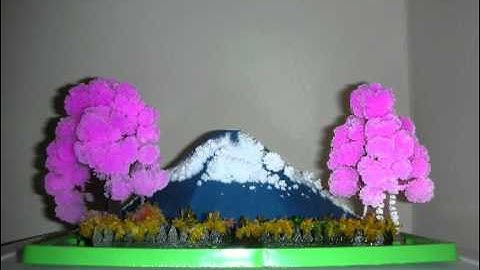 Time-Lapse Magic Crystal Garden