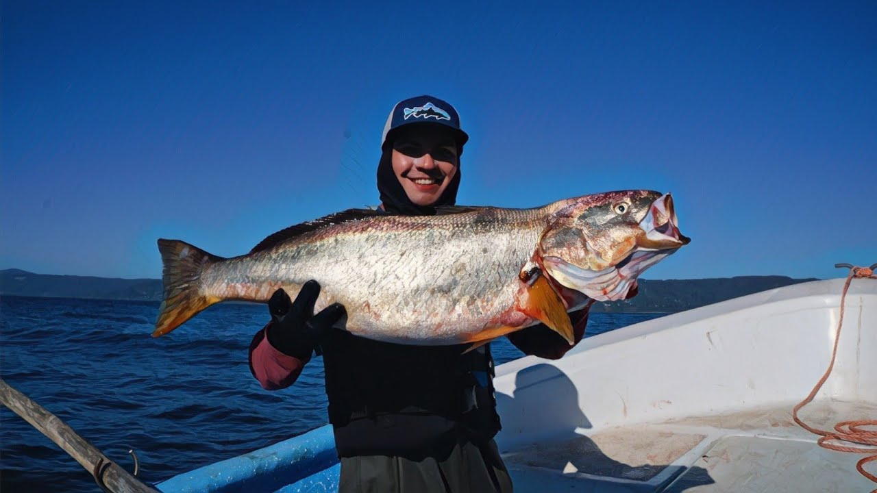 EN BUSCA DE CORVINAS, SALMONES CHINOOK Y SIERRAS EN VALDIVIA, BAHIA DE CORRAL Y CHAIHUIN.