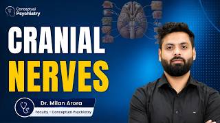 Cranial Nerves Made Easy for Psychiatry Exams | Olfaction, Tongue & Face Nerve Supply Rapid Revision