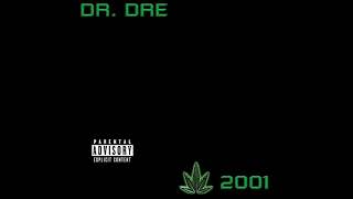 Dr. Dre - Ackrite feat  Hittman (instrumental)
