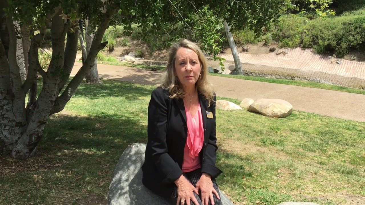 Meet the Agent: Peggy Johns