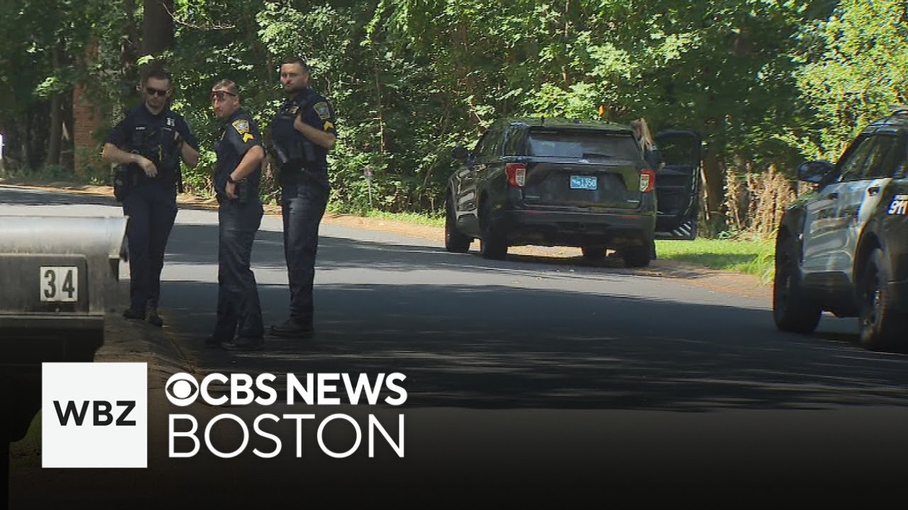 Wayland homeowner assaulted during break-in, police say