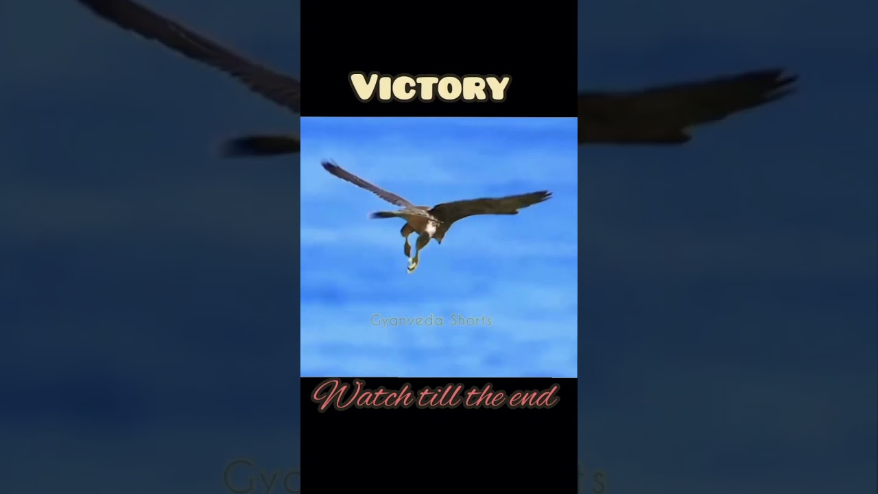 Practice is the key to success! 