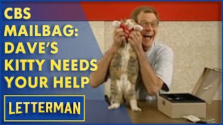 CBS Mailbag: Dave's Kitty Needs Your Help | Letterman