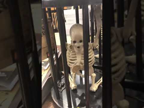 Heh, hey kiddo