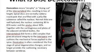Disc Desiccation