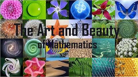 Patterns and Numbers in Nature Part 1