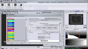 Tracking cells and generate intensity profile tutorial