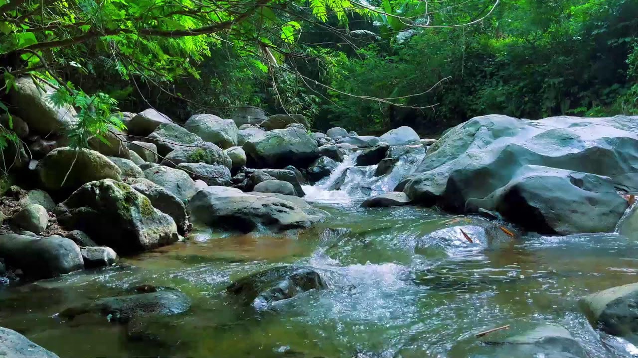 Gentle Trickling Water - 12 hours - No Music