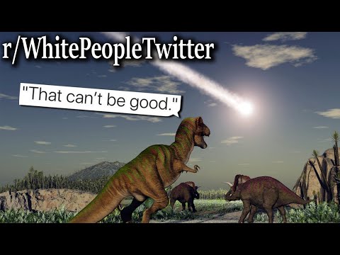 It's always the T-Rex | r/whitepeopletwitter