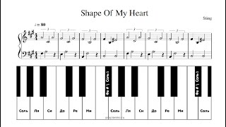 "Shape of my heart" играть и петь на синтезаторе с аккордами видео