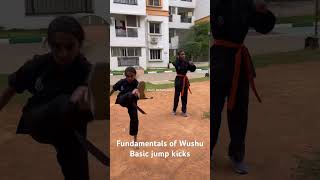 #wushu #fundamental #basics #kicks #drills #slowed #passobemsolto #trendingsong #supportmychannel