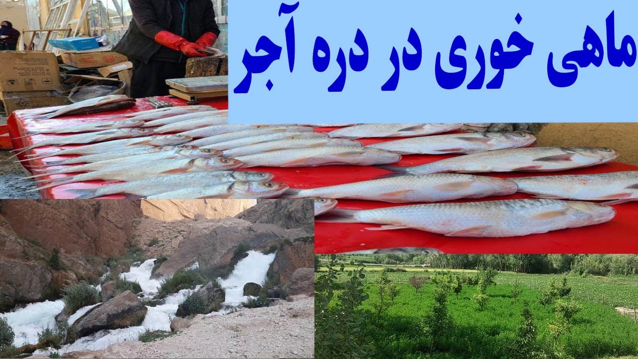 ماهی خوری در دره زیبای آجر ولسوالی کهمرد ولایت بامیان - YouTube