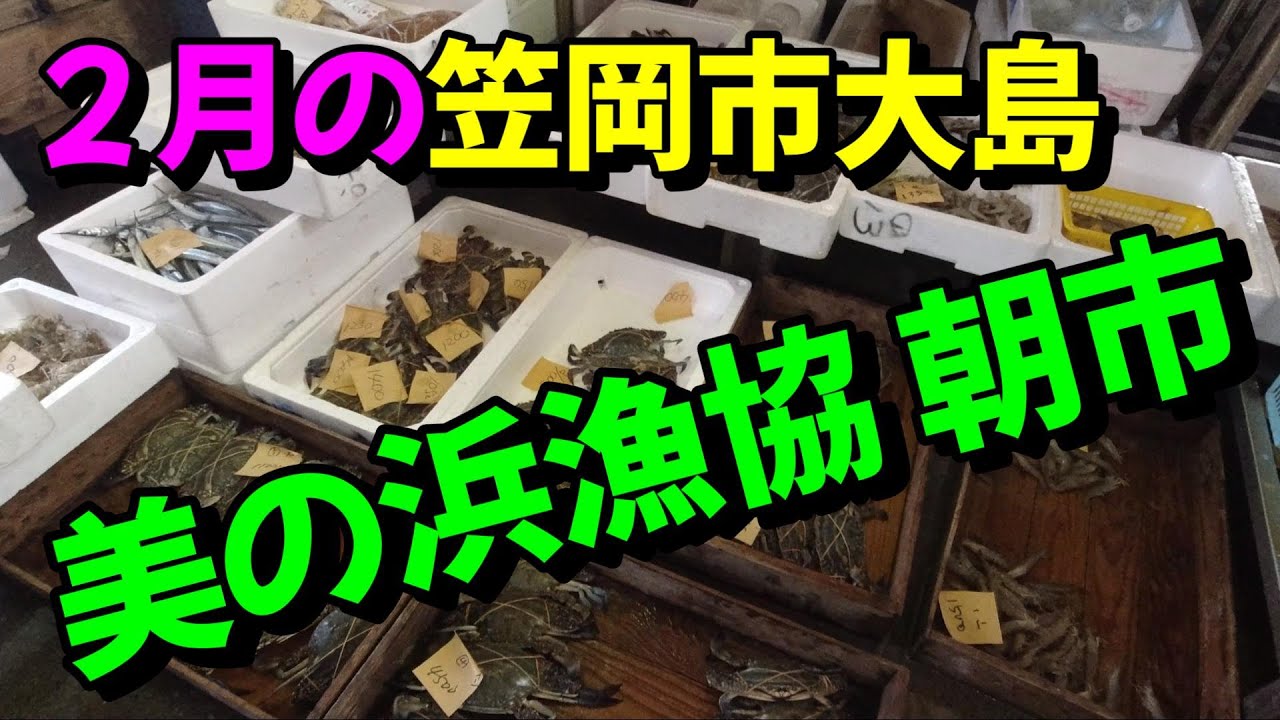 【漁港朝市】笠岡バイパス工事を見たので大島美の浜朝市へ寄ってみました！