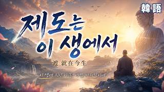 2026《渡就在今生제도는 이 생에서》MV 한국어