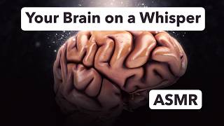 Why Millions Are Chasing This Feeling