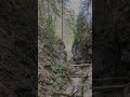 Flying Through Moara Dracului Gorge 🌲 | FPV Drone Romania