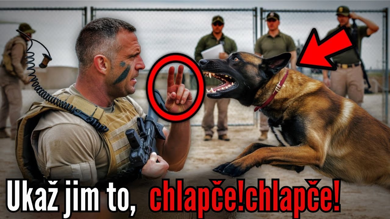 Tento K9 selhával při každém drilu — dokud SEAL nepískl a neustoupil.