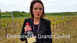 Domaine du Grand Comté 9 générations d'Armagnac