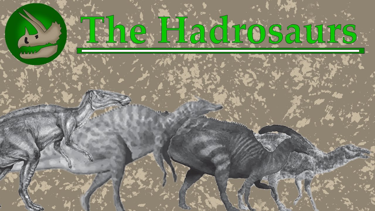 The Hadrosaurs | Overlooked Underdogs