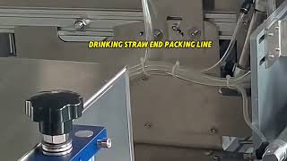 Drinking Straws Automatic Individual Packing To Medium Pouch Packing Line | SAYOK #manufacturer